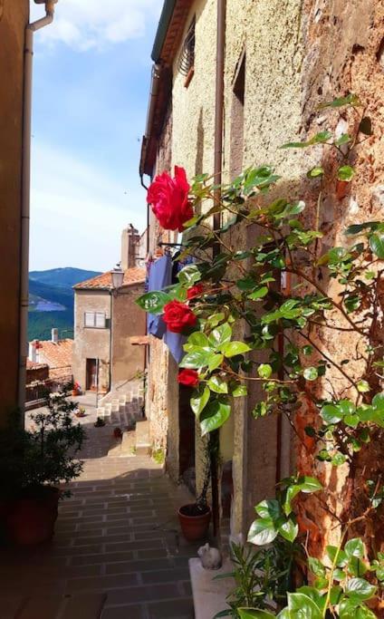 Вилла Casa Il Girasole Boccheggiano Экстерьер фото