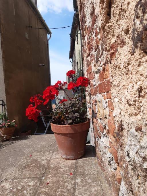 Вилла Casa Il Girasole Boccheggiano Экстерьер фото