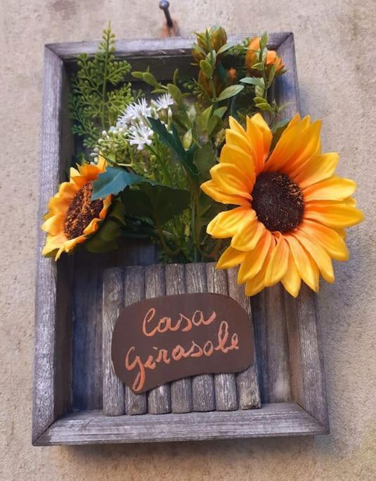 Вилла Casa Il Girasole Boccheggiano Экстерьер фото