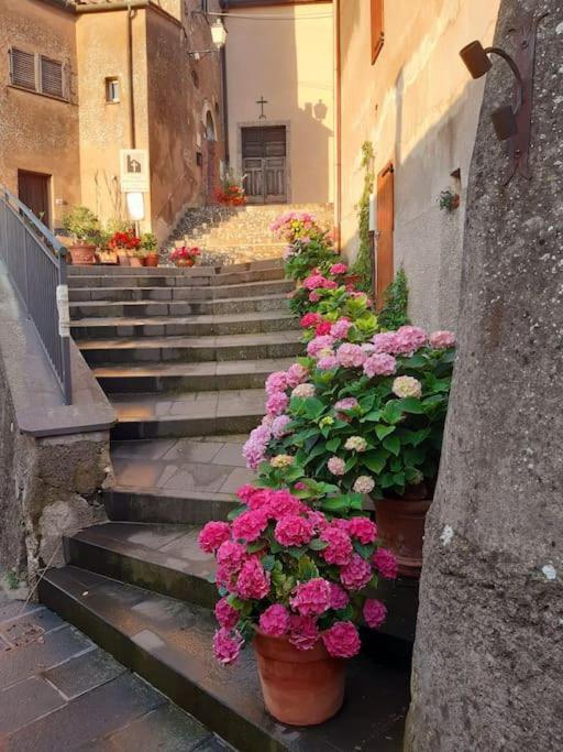 Вилла Casa Il Girasole Boccheggiano Экстерьер фото